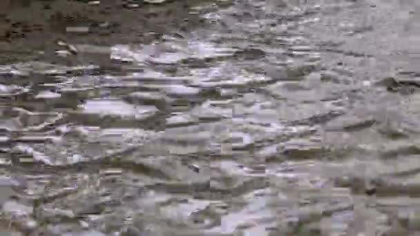 Braunes Wasser Plätschert Auf Gestörter Flussoberfläche — Stockvideo