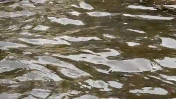 茶色の水を池の背景の表面にさざ波が立つのスローモーション — ストック動画