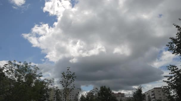 Mavi Gökyüzünde Beyaz Kabarık Kümülüs Bulutlar Karşı Yeşil Ağaçlar — Stok video