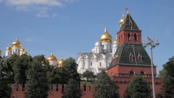 Δες Στο Κόκκινο Τούβλο Kremlin Walls Έναν Από Τους Πύργους — Αρχείο Βίντεο