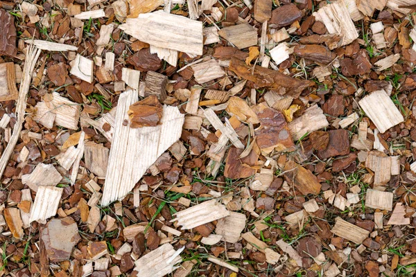 Textured Background Scattered Wood Chips Different Shapes Colors Lying Green — Stock Photo, Image