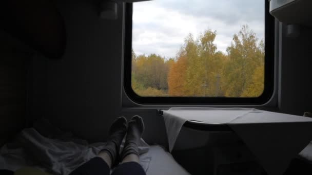 Pieds Chaussettes Grises Sur Canapé Intérieur Cabine Train Beaux Paysages — Video