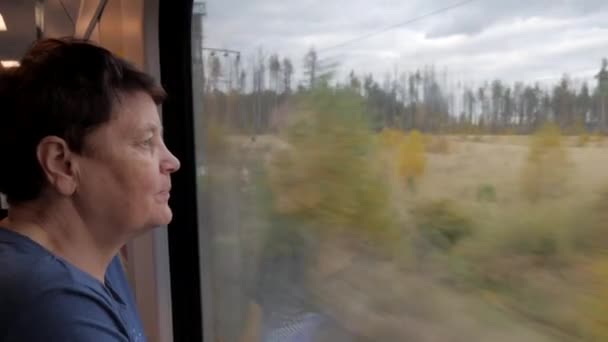 Perfil Mujer Mayor Tren Mirando Por Ventana Paisaje Otoñal — Vídeo de stock