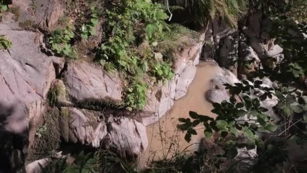 Braunes Wasser Fließt Vom Felsigen Berg Den Grünen Wald Hinunter — Stockvideo