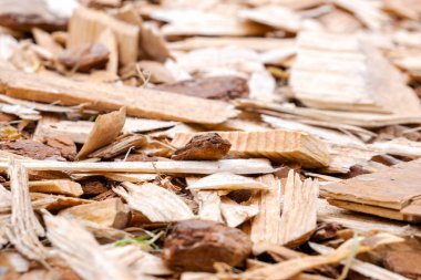 Dağınık talaş farklı şekiller ve renkler