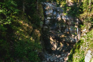 Orman akarsu yüksek kayalık şelale gidiyor