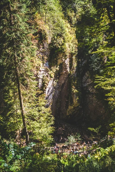 Roca alta cubierta de árboles verdes en el bosque de montaña — Foto de Stock