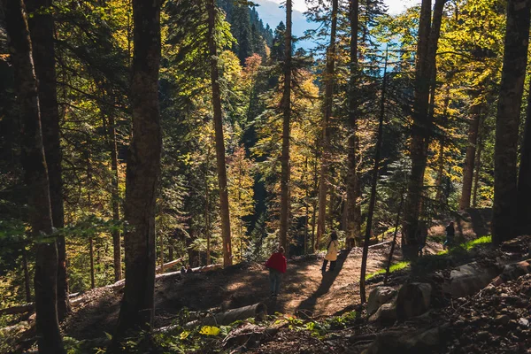 La gente camina en densos bosques montañosos otoñales — Foto de Stock