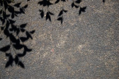 Roadbed asfalt kırıntı ve Tre gölge siluetleri ile kaplı