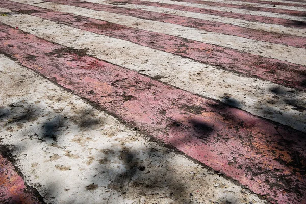 Cartera: finaeva | Fotos, ilustraciones y arte vectorial de