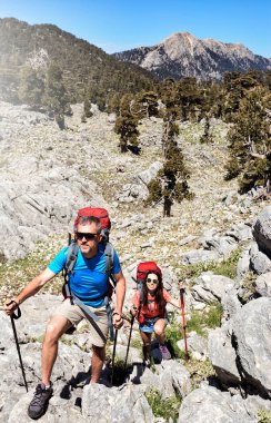 Yaz aylarında dağ tepesine uzun yolculuk.