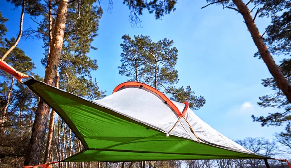 Touristenzelt Grünen Kiefernwald Mit Sonnenstrahlen Auf Dem Campingplatz — Stockfoto