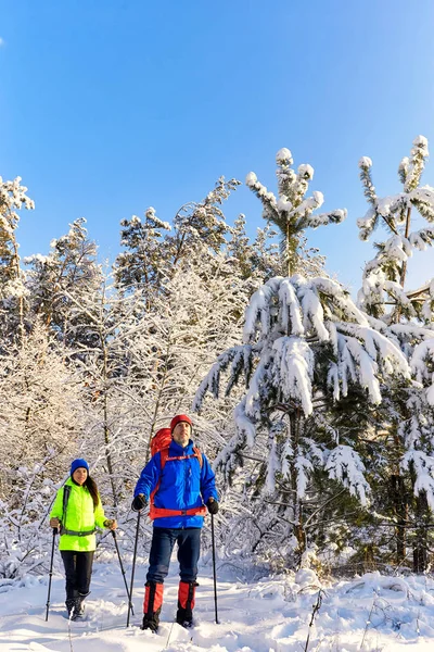 Caminhe Casal Apaixonado Uma Caminhada Pela Floresta Inverno — Fotografia de Stock
