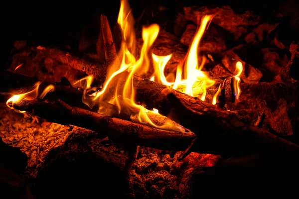 Lagerfeuer Flammen auf schwarzem Hintergrund zum Kochen von Lebensmitteln. — Stockbild Lagerfeuer Flammen Auf Schwarzem Hintergrund Zum Kochen Von Lebensmitteln — Stockfoto