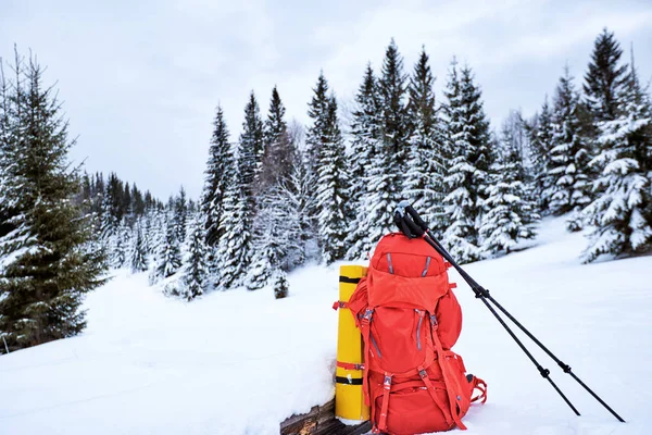 Kırmızı bir sırt çantası içinde bir kış yürüyüş dağlar ve ormanlar fonunda.