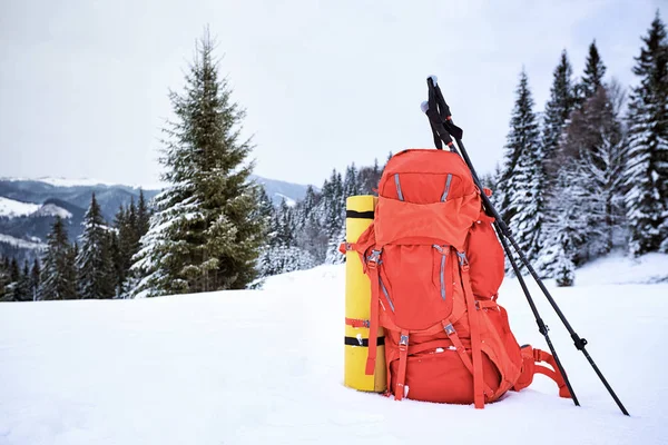 Kırmızı bir sırt çantası içinde bir kış yürüyüş dağlar ve ormanlar fonunda.
