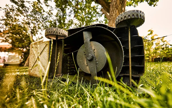 A mowing grass lawn of an electric mower on a sunny summer day.