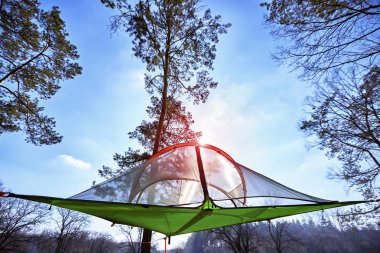 Turist çadır kamp alanında güneş ışınları ile yeşil çam ormanı içinde.