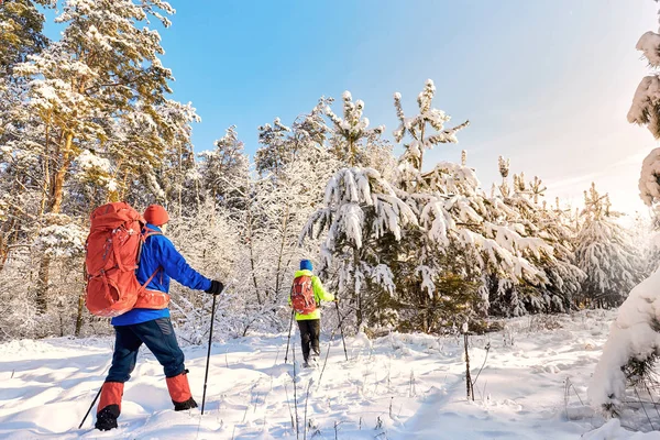 Verliebtes Paar Bei Einer Wanderung Durch Den Winterwald — Stockfoto