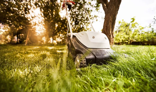 A mowing grass lawn of an electric mower on a sunny summer day.