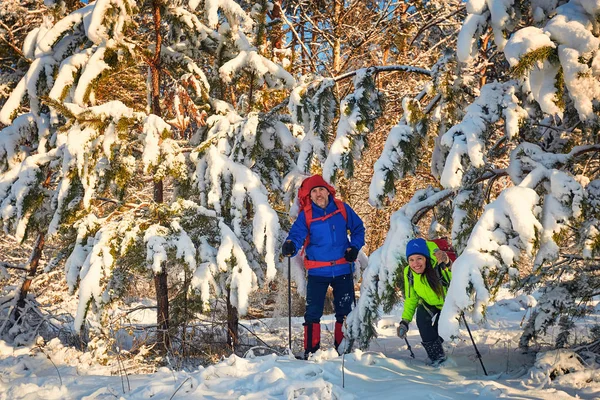 Caminhe Casal Apaixonado Uma Caminhada Pela Floresta Inverno — Fotografia de Stock