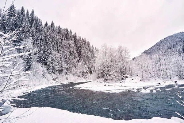 Kış Kanyonda Güzel Nehir Manzarası — Stok fotoğraf