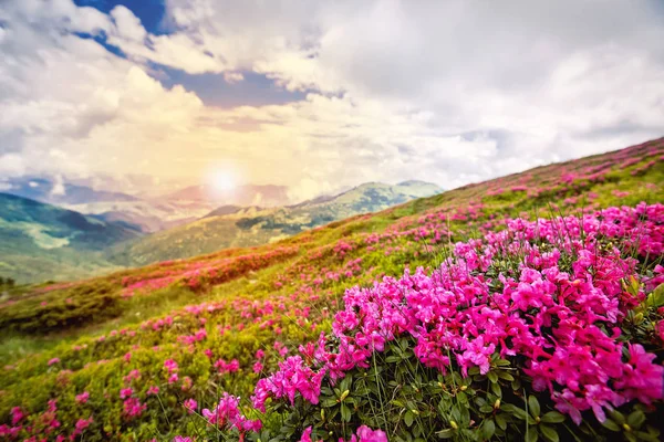 Красивый Пейзаж Высоко Горах Облаками После Обеда — стоковое фото