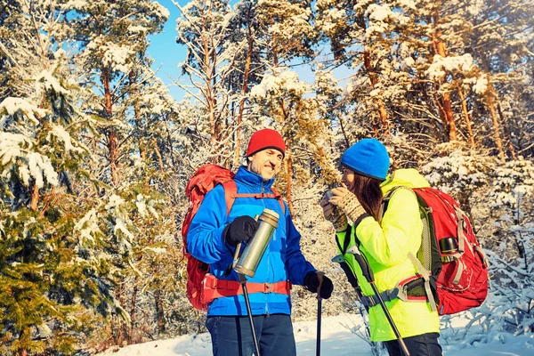 Caminhe Casal Apaixonado Uma Caminhada Pela Floresta Inverno — Fotografia de Stock