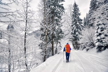 Kanyon Nehri boyunca bir sırt çantası ile kışın trekking