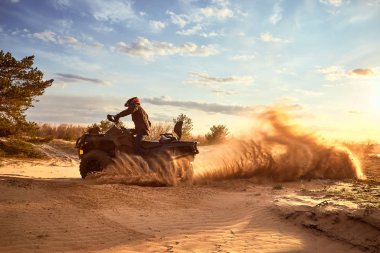 Kuma bir dört tekerlekli sürücü dörtlü yarış.