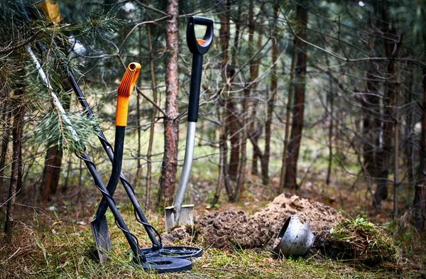 Search for treasure using a metal detector and shovel. Stock Image