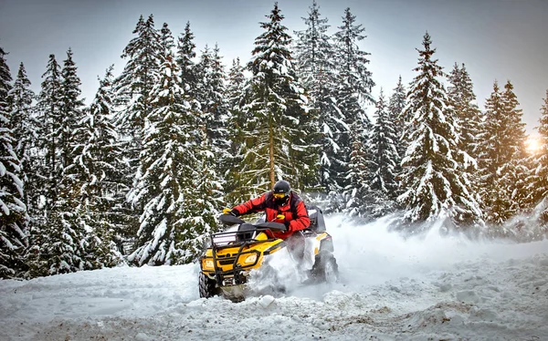 Χειμερινό αγώνα σε ένα Atv στο χιόνι στο δάσος. — Φωτογραφία Αρχείου