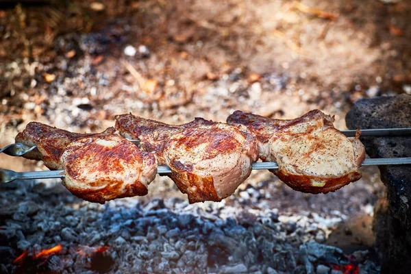 Cooking Tasty Meat Open Fire Nature — Stock Photo, Image