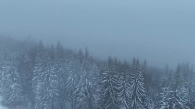 Bir kış manzarasının insansız hava aracı videosu. Bir başka güzel manzara. Dağlardan ve vadilerden oluşan bir manzara.