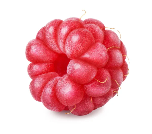 Ripe raspberry isolated on white — Stock Photo, Image