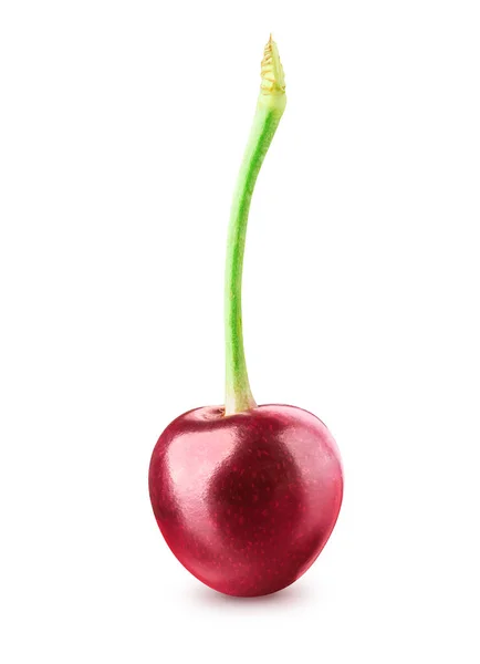 Cherry terisolasi di atas putih — Stok Foto