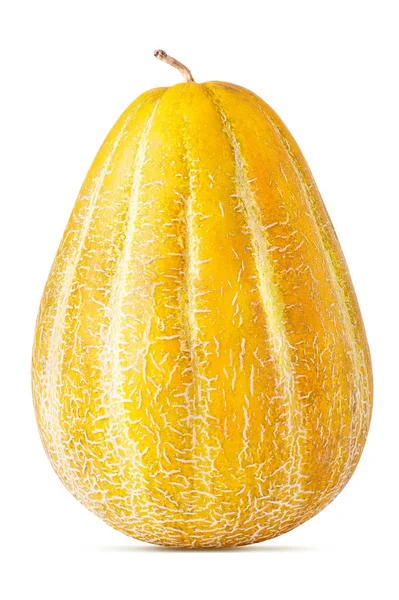Melon diisolasi dengan warna putih — Stok Foto