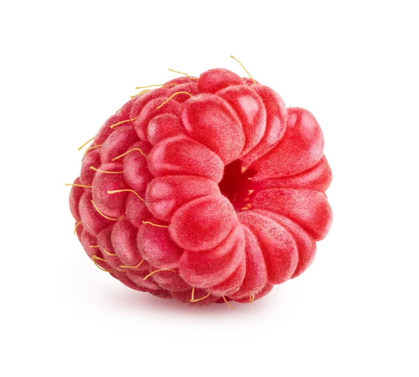 Raspberry diisolasi pada warna putih Stok Lukisan  