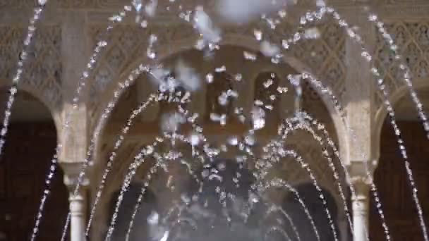 Valladolid Spanien März März 2018 Brunnen Gießt Wasser Auf Der — Stockvideo