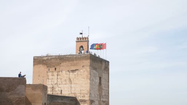 Bandiere Che Sventolano Sul Palazzo Dell Alahambra Granada Spagna — Video Stock