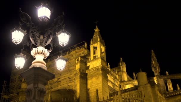 Portrait Cathedral Saint Mary See Night Sevilla Spain — Stock Video