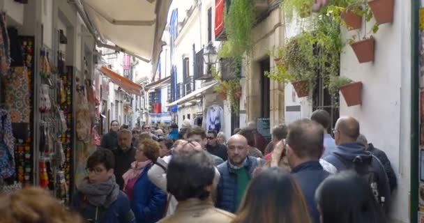 一群人走过科尔多瓦的小巷 2017年4月 科尔多瓦 西班牙 — 图库视频影像