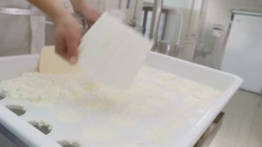 Fabrikada peynir yapmak.