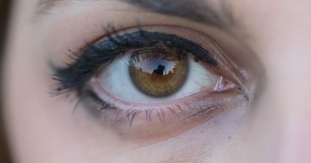 Brown Woman Eye Otwarta Wzrok Zmysłowy Makro — Wideo stockowe