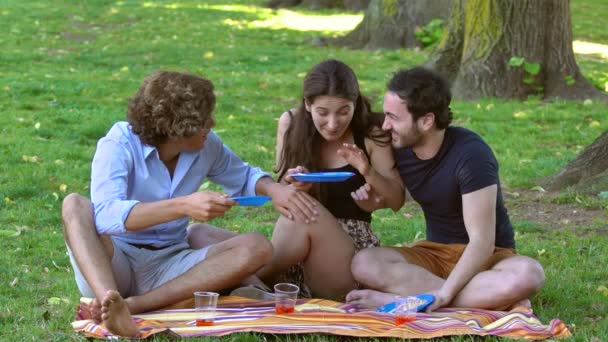 Zomer Pic Nic Het Park Vrienden Eten Zittend Het Grasveld — Stockvideo