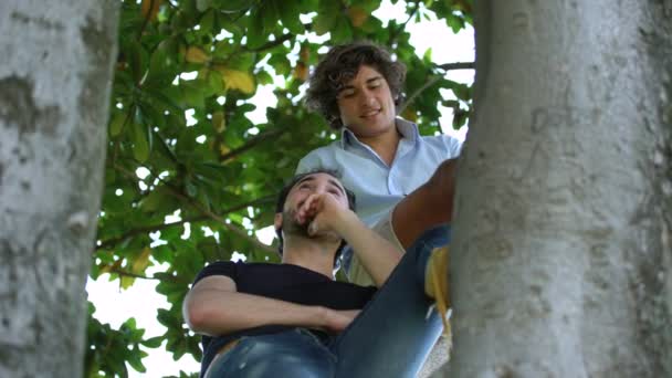 木の上の若い友人の肖像 静かにチャット — ストック動画