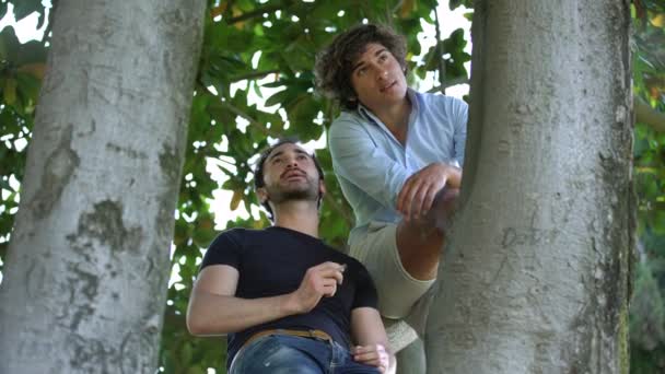 zwei Freunde auf einem Baum plaudern und rauchen eine Zigarette
