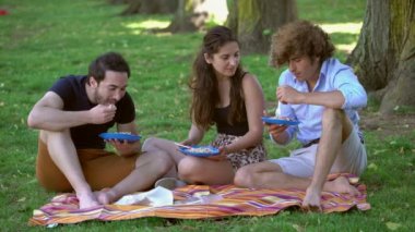 Yaz zamanı: çimenlikteki arkadaşlar arasında fotoğraf pikniği