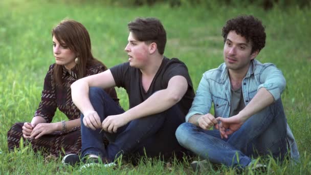 緑の芝生の上の公園でリラックスして楽しむ友人のグループ — ストック動画