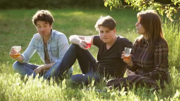 Vrienden Drinken Een Park Vrolijke Zomer — Stockvideo